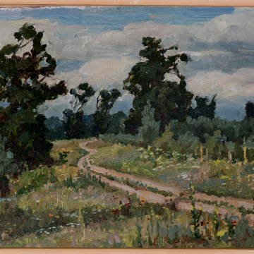 Road in the woods